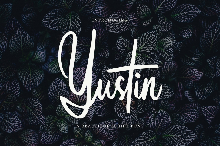 Yustin Script Font Download