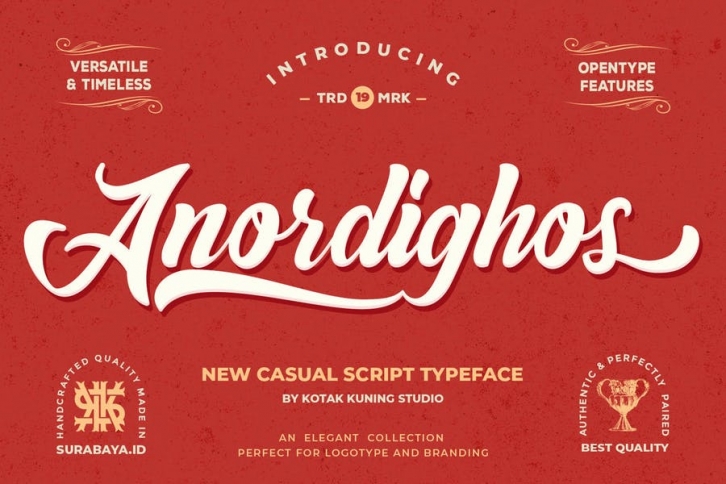 Anordighos - Script Retro Font Font Download