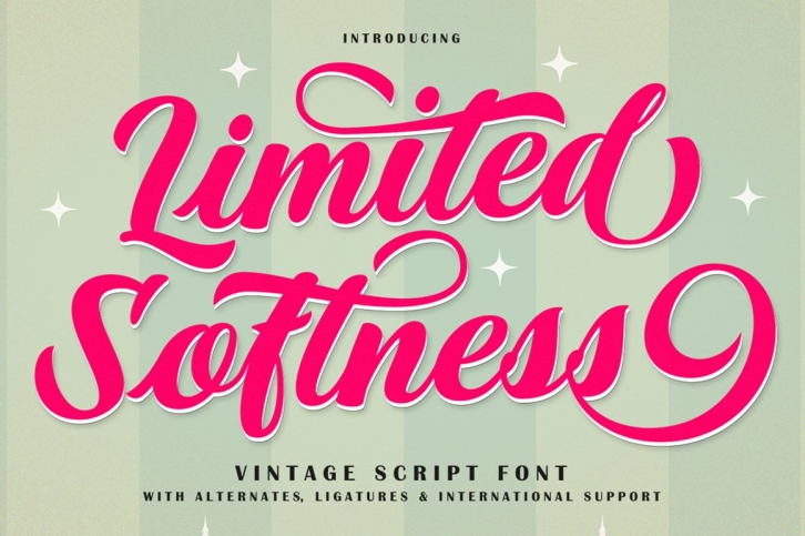 Limited Softness Script Font Font Download