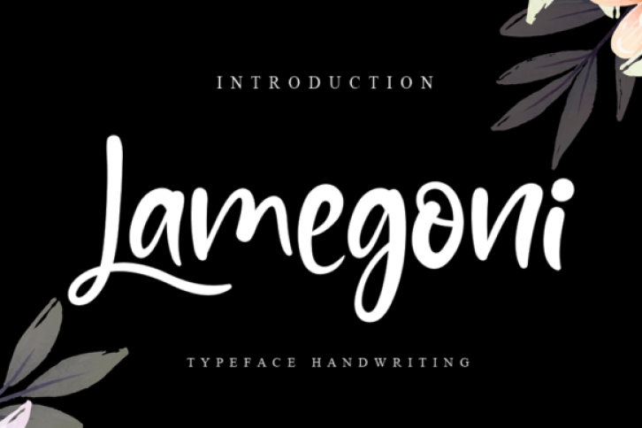 Lamegoni Font Download