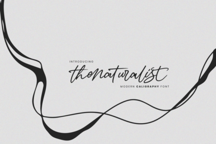 The Naturalist Font Download