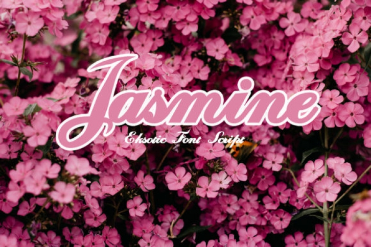 Jasmine Font Download