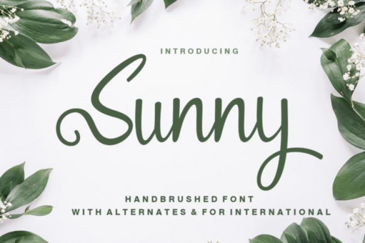 Sunny Font Download