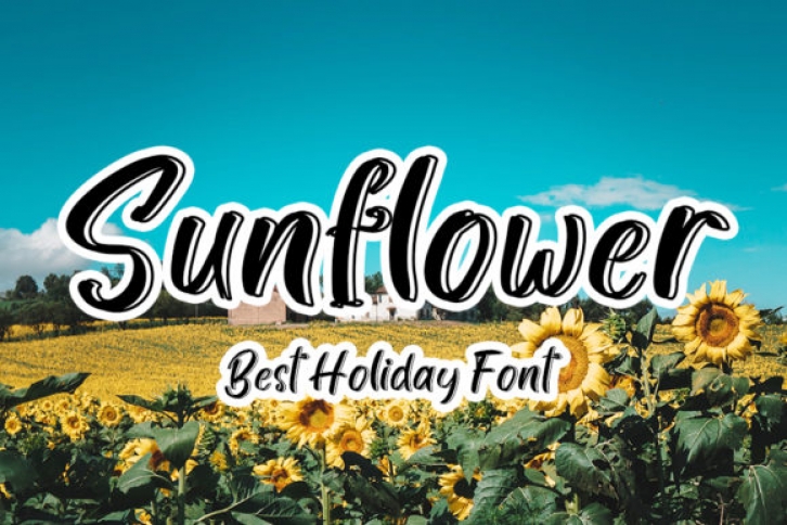 Sunflower Font Download