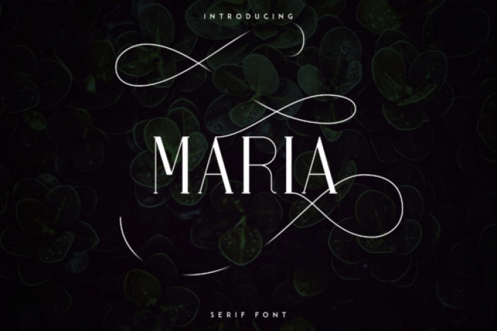 Maria Font Download