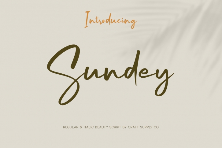 Sundey - Beauty Script Font Font Download