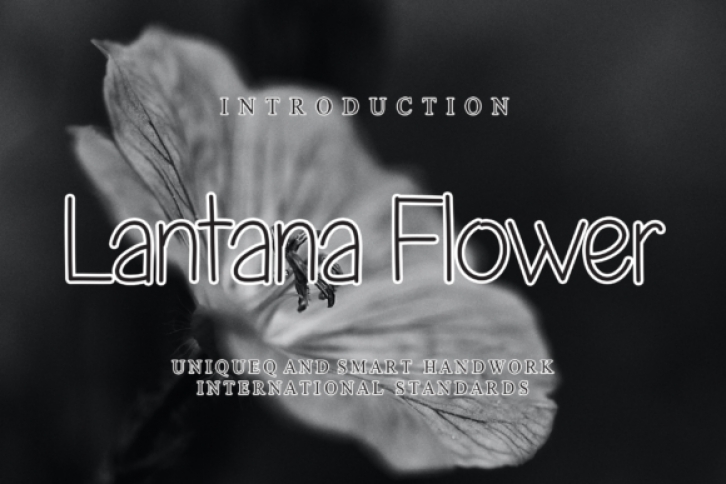 Lantana Flower Font Download