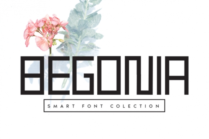 Begonia Font Download