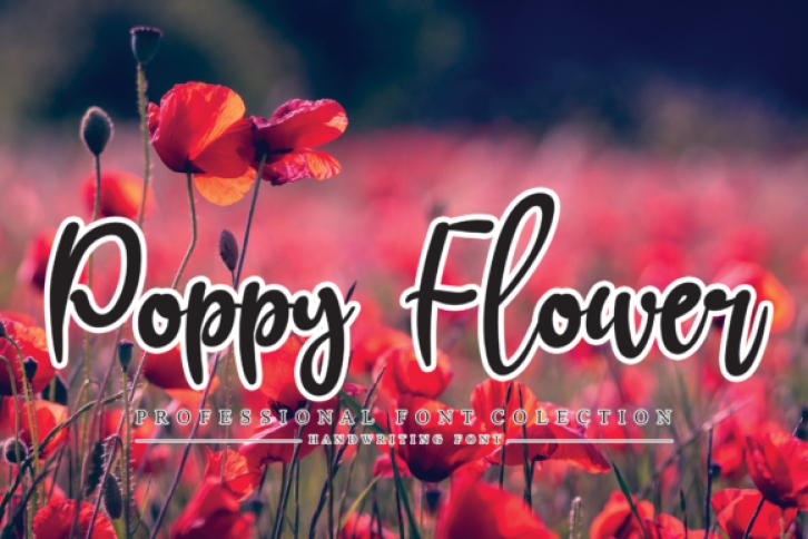 Poppy Flower Font Download