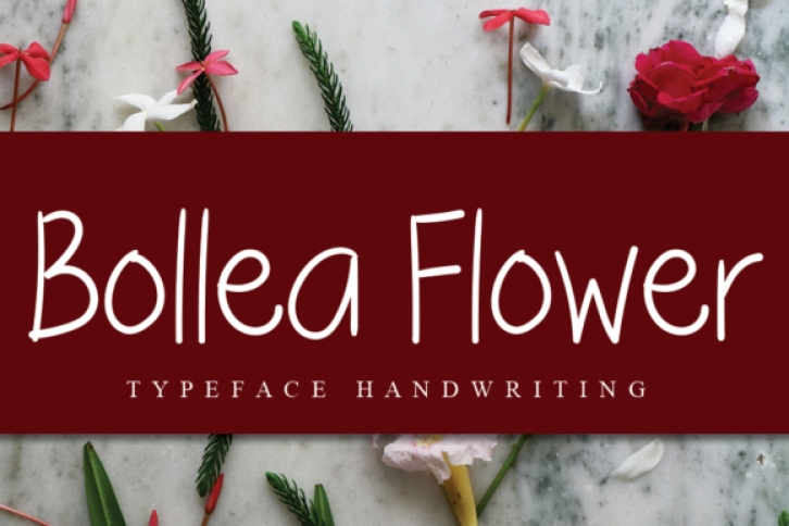 Bollea Flower Font Download