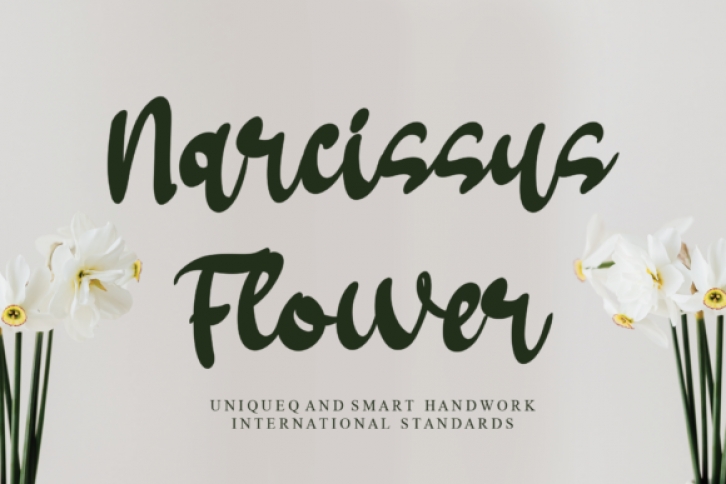 Narcissus Flower Font Download