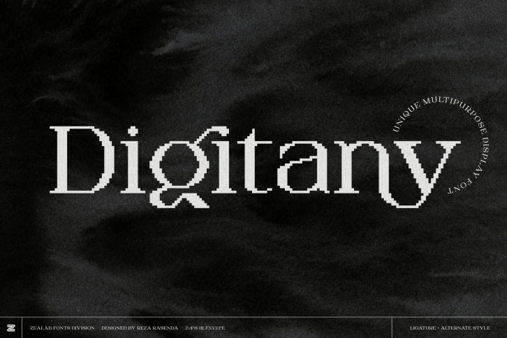 Digitany - Multipurpose Pixel-Serif Font Font Download