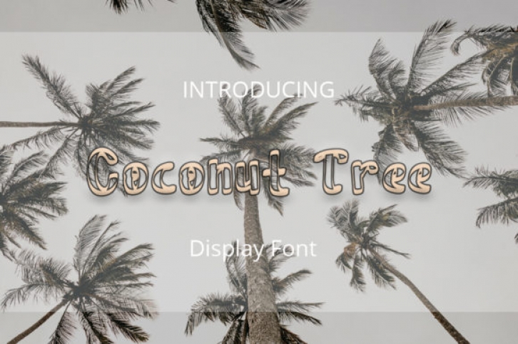 Coconut Tree Font Download