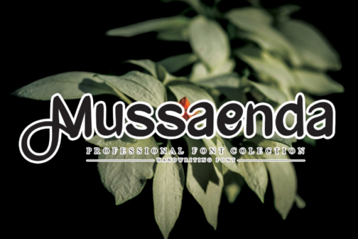 Mussaenda Font Download
