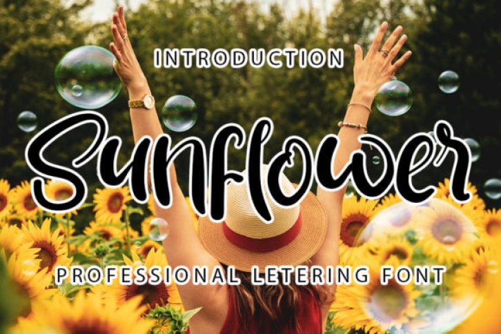 Sunflower Font Download