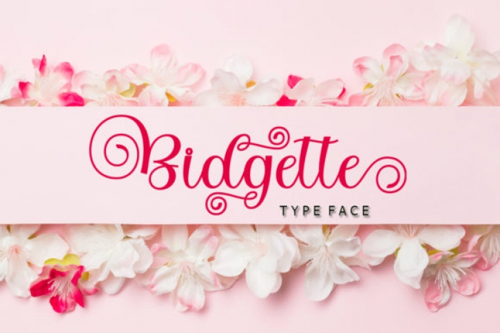 Bidgette Script Font Download