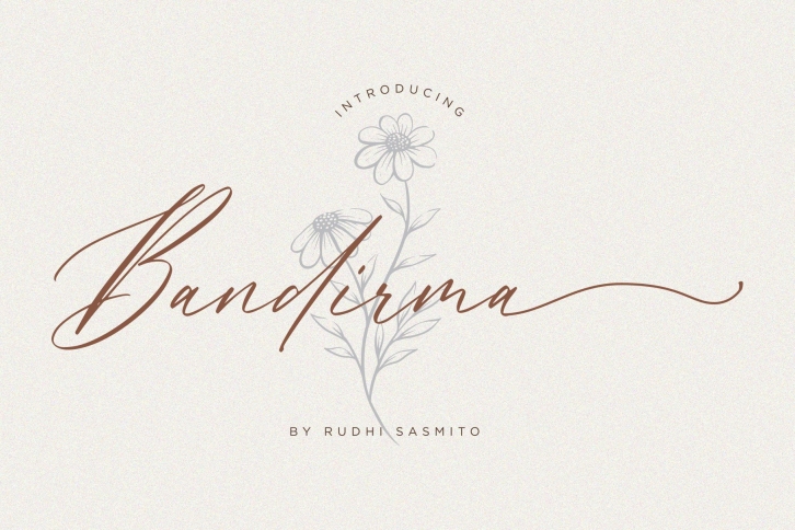 Bandirma - Classy Calligraphy Font Download