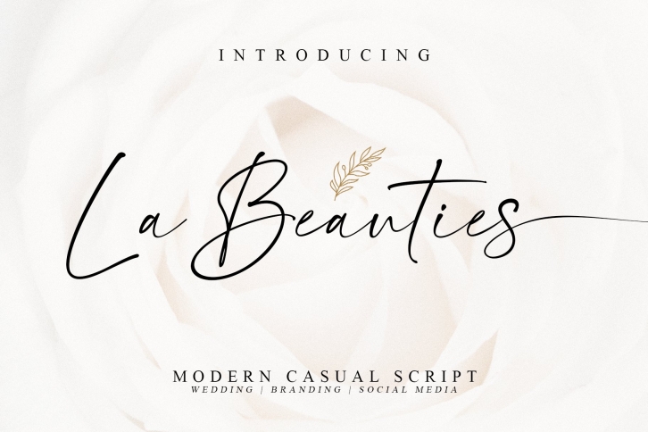 La Beauties-Casual Handwritten Font Download