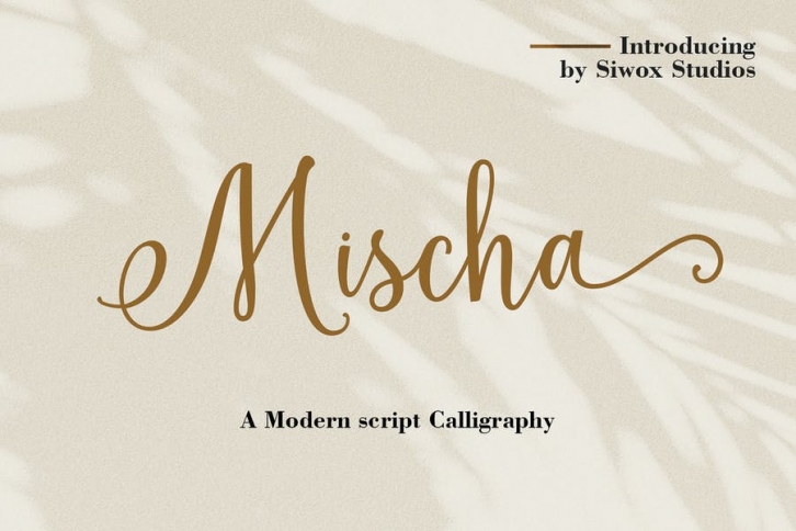 Mischa Modern Script Font Download