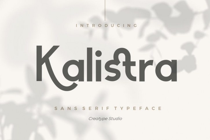 Kalistra Sans Serif Typeface Font Download