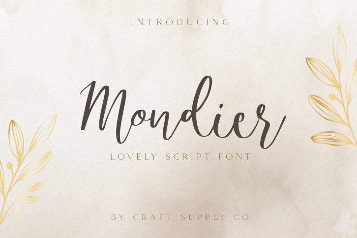 Mondier - Lovely Script Font Font Download