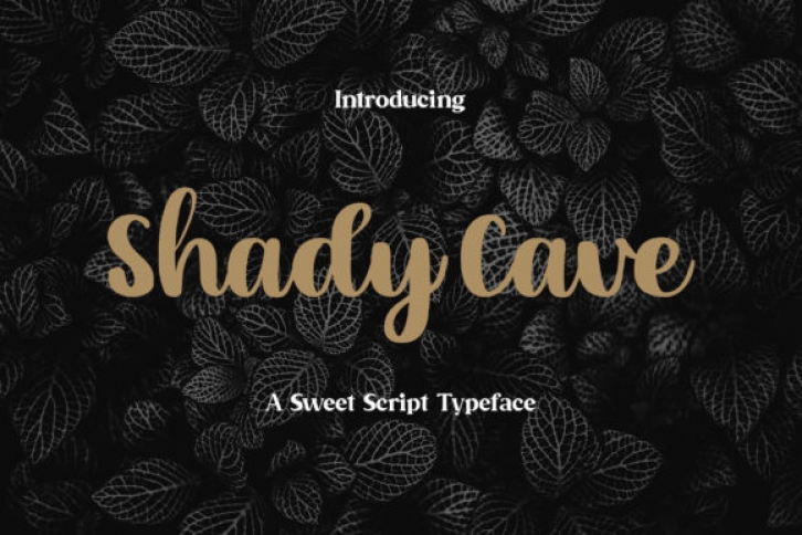 Shady Cave Font Download