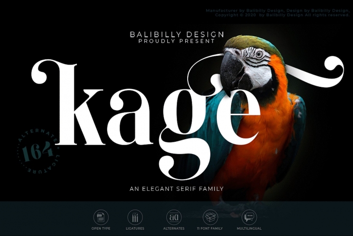 Kage-Elegant Serif Typeface Font Download