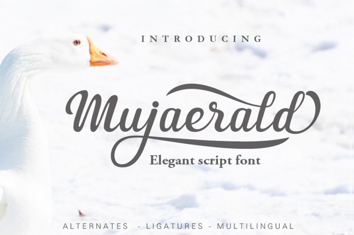 Mujaerald Font Font Download