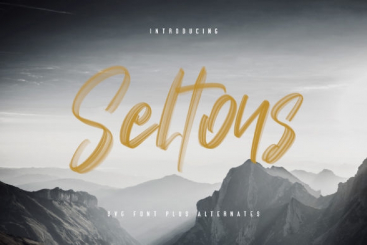 Seltons Font Download