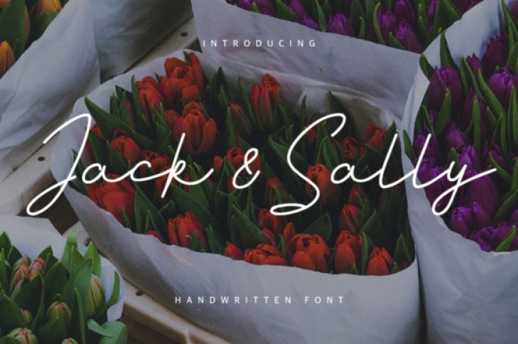 Jack and Sally Font Download