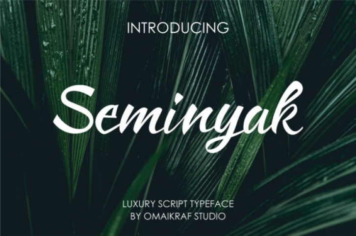 Seminyak Font Download