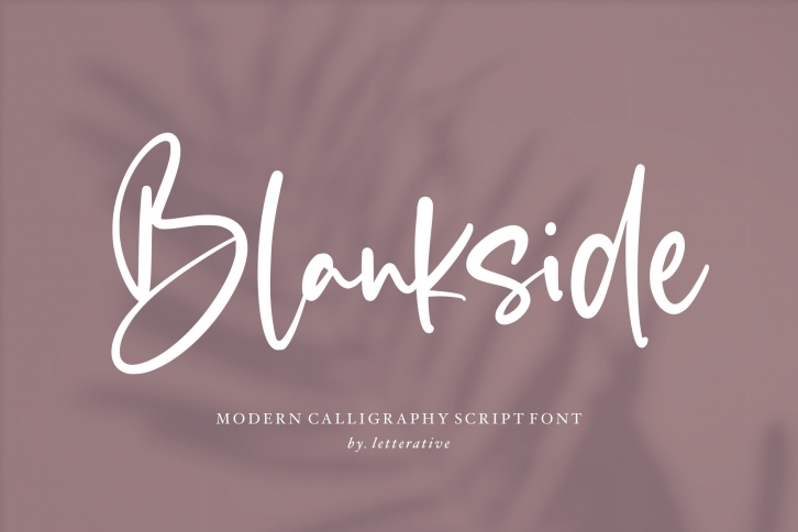 Blankside Modern Calligraphy Font Font Download