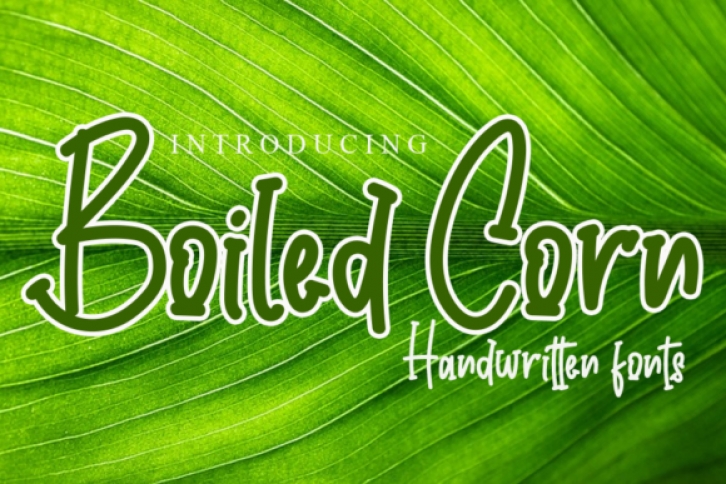 Boiled Corn Font Download