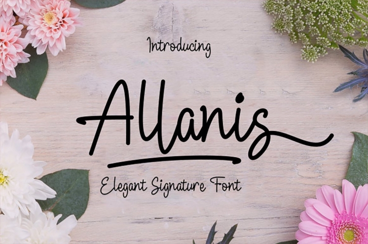 Allanis Font Download