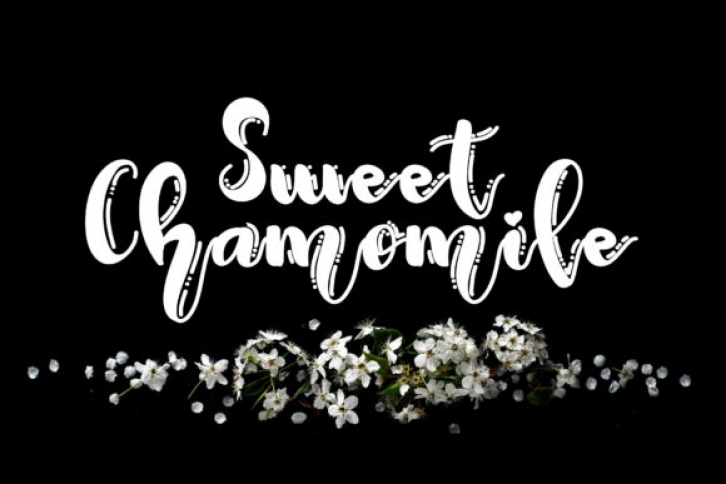 Sweet Chamomile Font Download