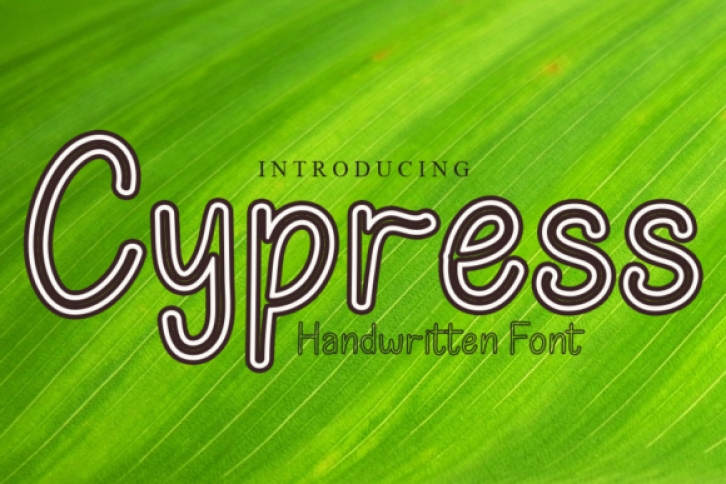Cypress Font Download