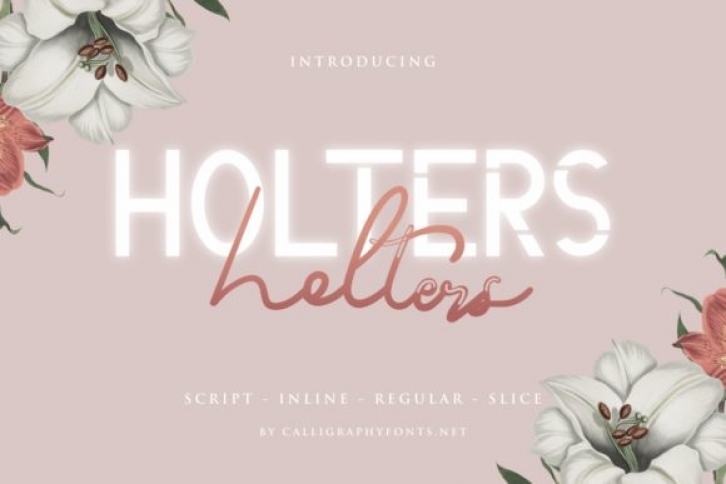 Holters Font Download