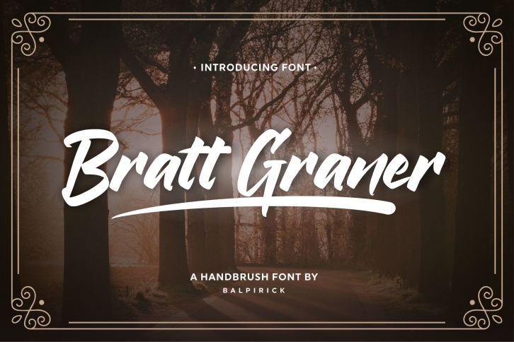 Bratt Graner Handbrushed Font Font Download
