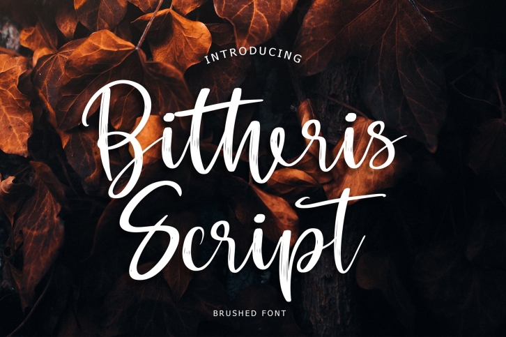Bitheris Script Brush Font Download
