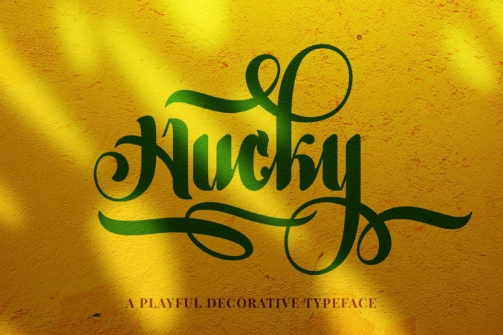 Hucky â€“ Decorative Script Font Font Download