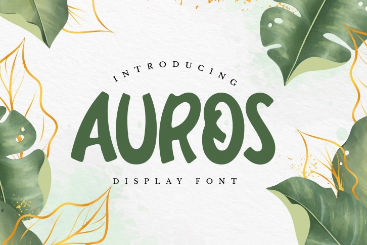 Auros - Display Font Font Download