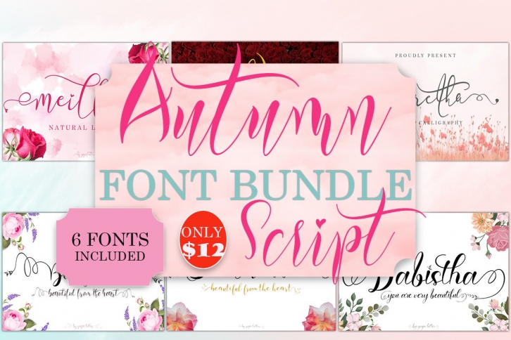 Autumn Script Font Bundle Font Download