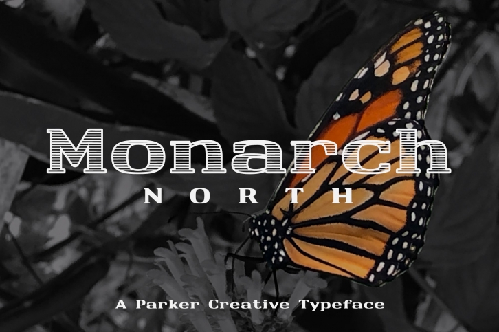 Monarch North Slab Serif Webfont Font Download