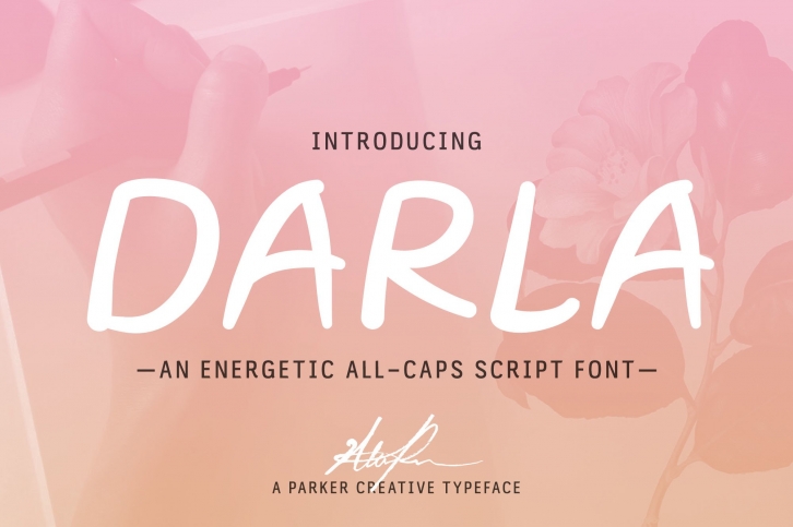 Darla Script Handwritten Webfont Font Download
