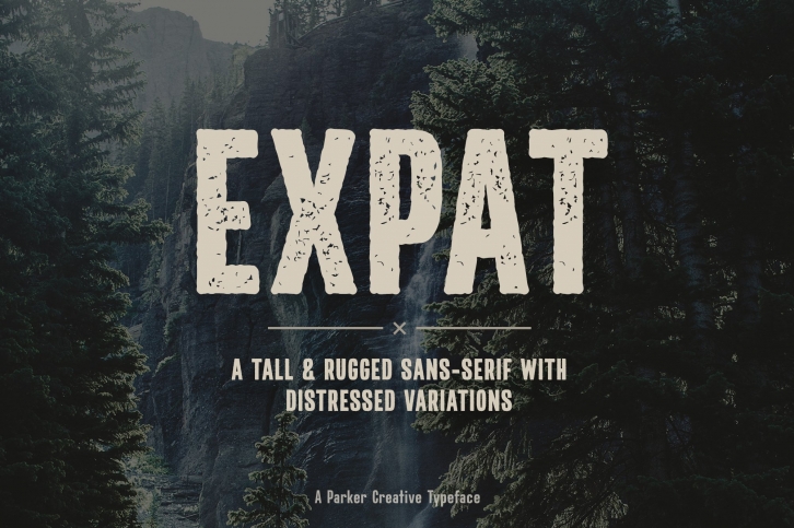 Expat - Tall & Rugged Sans-Serif Webfont Font Download
