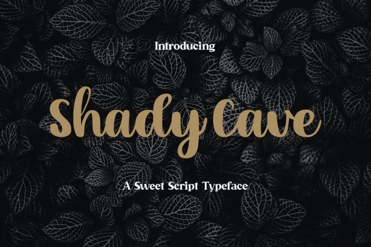 Shady Cave - Script Font Font Download