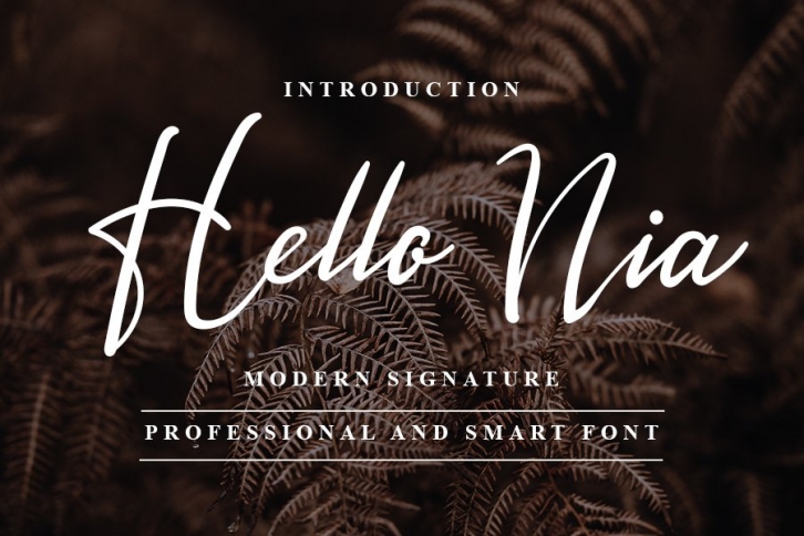 Hello Nia - Modern Signature Font Font Download