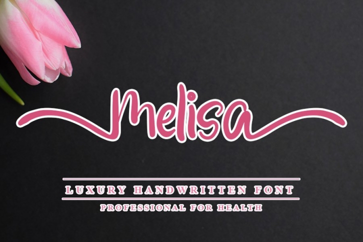 Melisa - Modern Handwritten Font Font Download