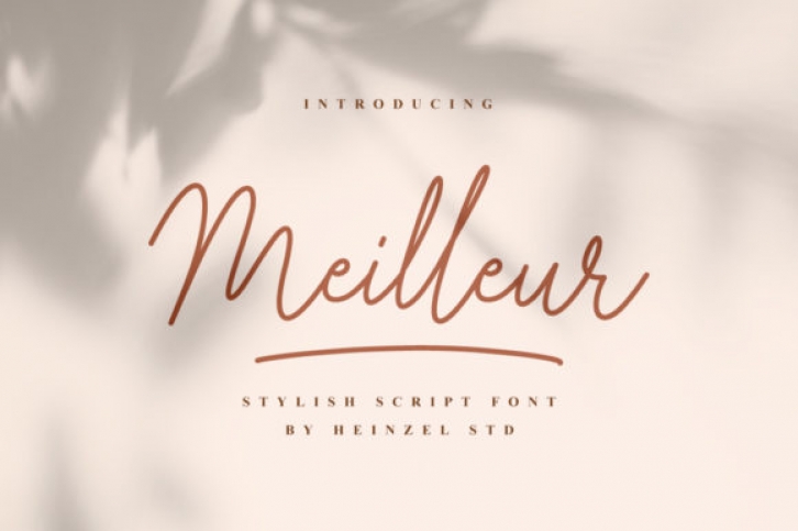 Meilleur Font Download