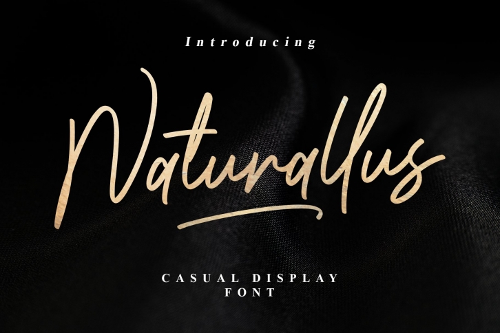 Naturallus Stylish Font Font Download